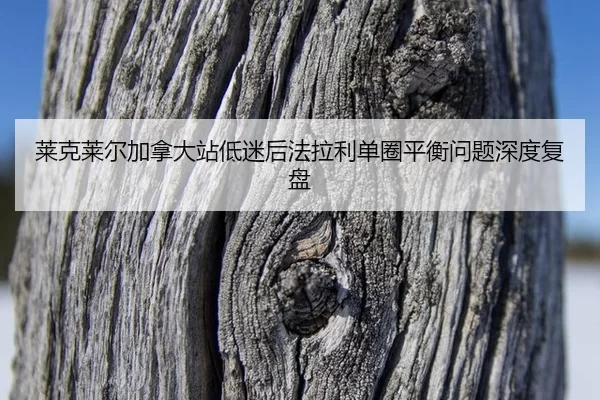 lai-ke-lai-er-jia-na-da-zhan-di-mi-hou-fa-la-li-dan-quan-ping-heng-wen-ti-shen-du-fu-pan-2-196.jpg